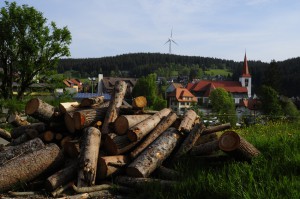 Sawed firewood in pile